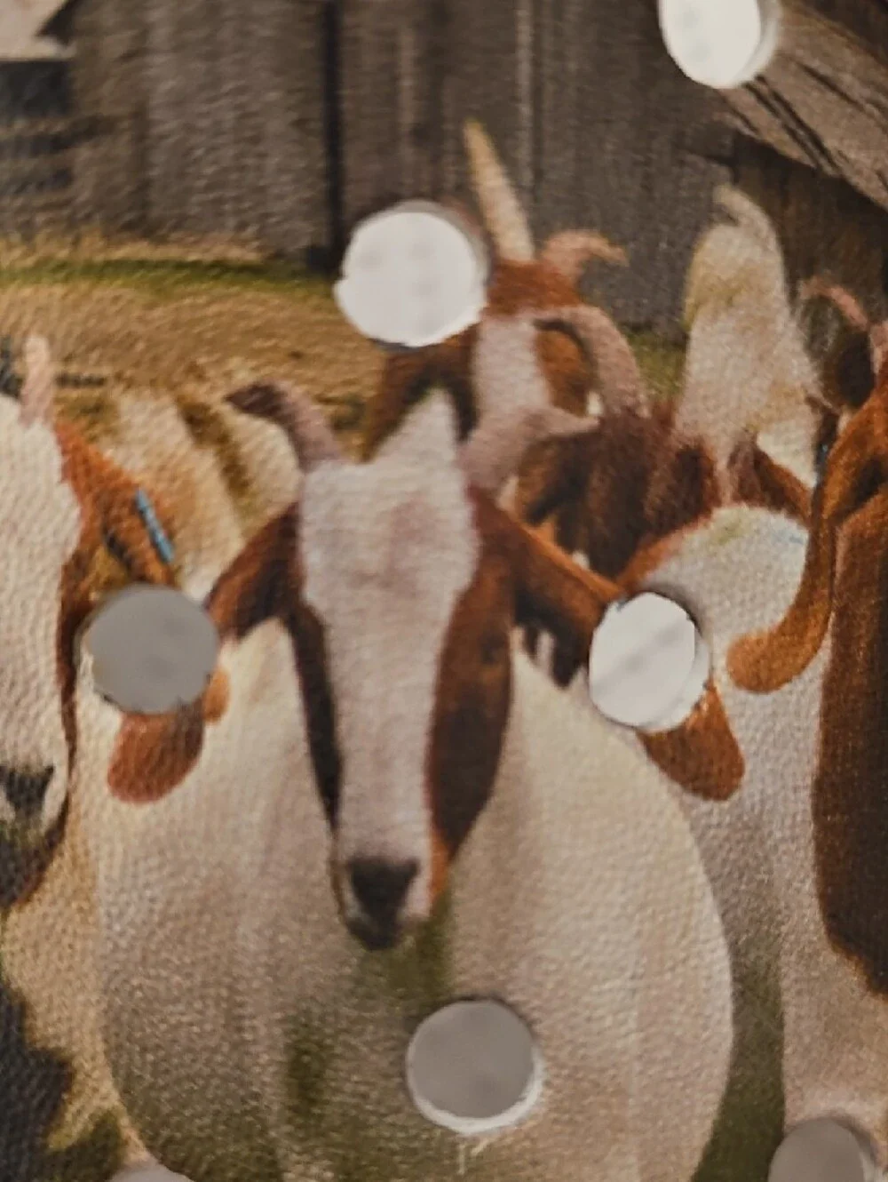 Clog Shoes With Farm Scene And Goats in Tan and White - Picture 2 of 10